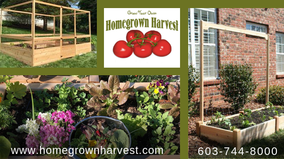 	 raised bed gardens, raised garden bed, grow your own food, vegetable gardening, organic gardening, wood garden beds