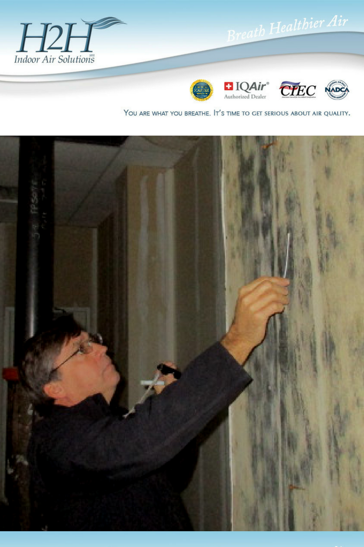 mold inspections, mold testing, indoor air quality, environmental testing, moisture investigation