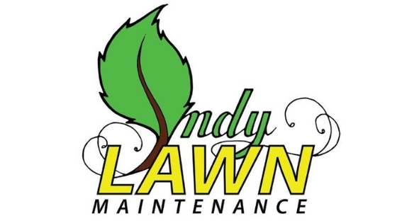 Indy Lawn Maintenance, Landscaping, Lawn Care, Gutter Cleaning, Lawn Service, Indianapolis Lawn Care, Tree Removal, Stump Grinding, Mulching, Grass Treatment, Leaf Removal, Lawn Manicure,