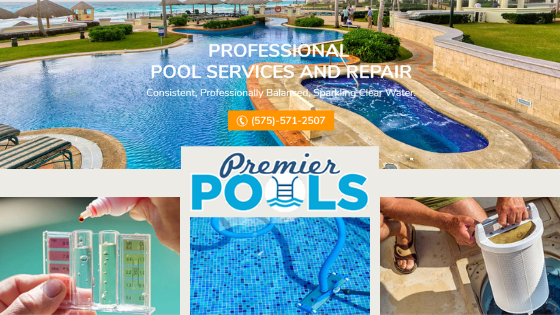 Pool Services, Pool Maintenance, Pool Equipment Repair, Pump Repair, Pool Clean Outs, Acid Washes, Pool Cleaning Service, 