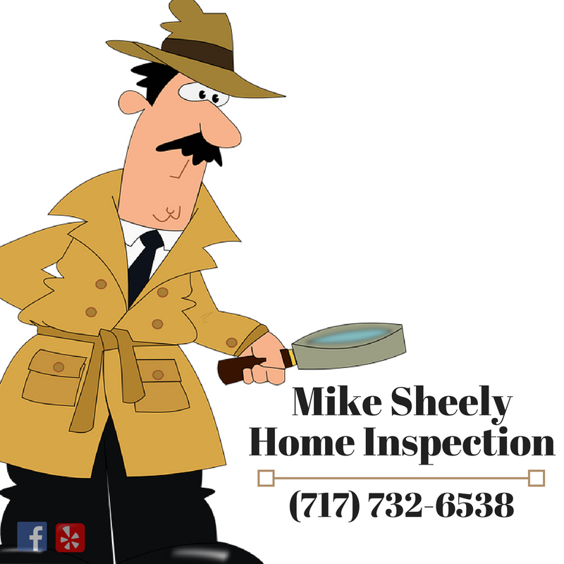 Home Inspection, Radon Testing, Radon Mitigation, Termite Inspection, Water