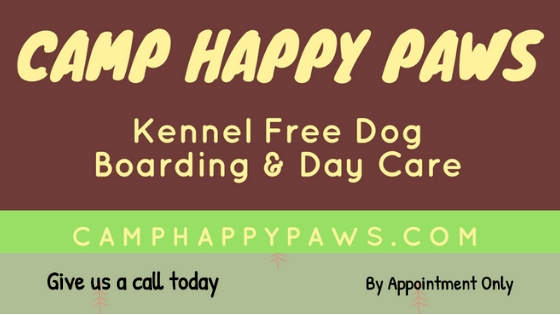 Dog Boarding, Kennel Free Dog Boarding, Dog Day Care, Free Range Dog Boarding, Overnight Boarding