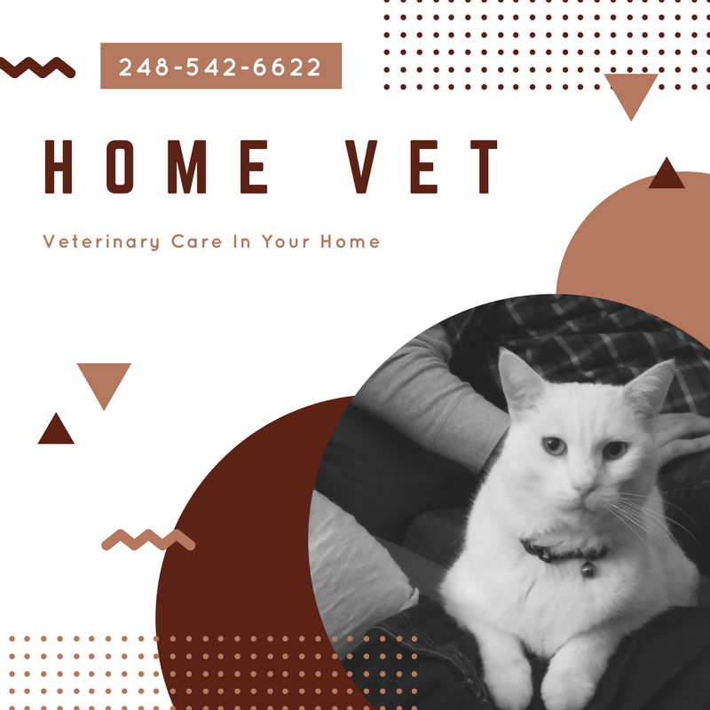  Veterinarian, Home Vet, Vets For Pets, Vets Near Me, Pet Blood Work, Pet Vaccines, Veterinary, Pet Checkups, Vets, Home Euthanization, Mobile Vet, Mobile Pet Doctor
