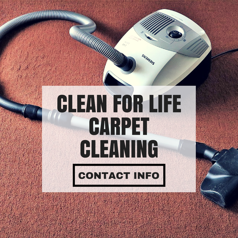 Carpet Cleaning, Upholstery Cleaning, Pet Stain Removal, Deodorizing, Soil Protector