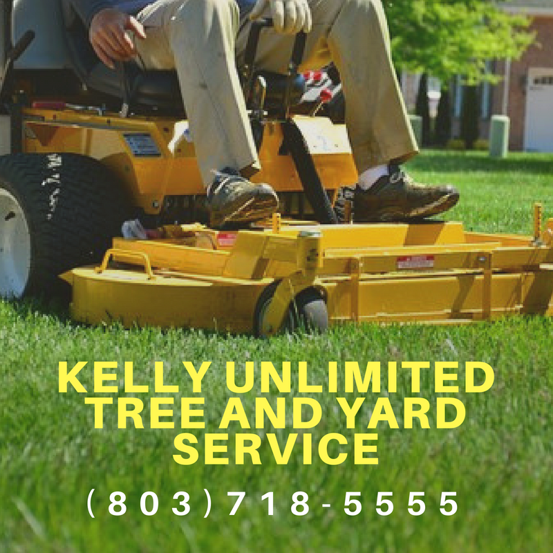 Tree Service, Yard Service, landscaping, lexington county, york county, Charlotte area, South Carolina, North Carolina, 100 miles around Columbia
