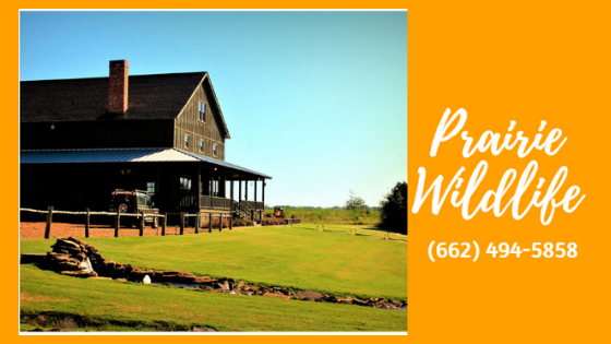 Wildlife center, Wedding venue, Corporate meetings, Family fun, Cabins, Lodging, Hunting cabins, Shooting instruction, Off road trails, golf and gun, quail dove and deer hunts, Bird dogs, Town creek kennel