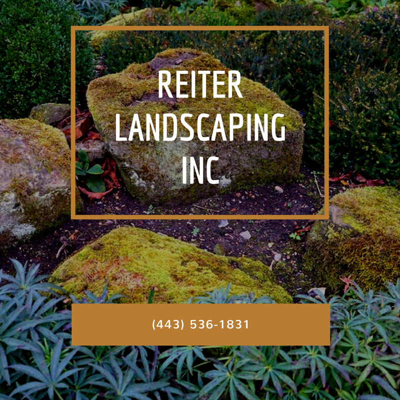 Landscaper, Lawn Care, Sidewalks, Concrete Work, Stone Work, Lawn Maintenance