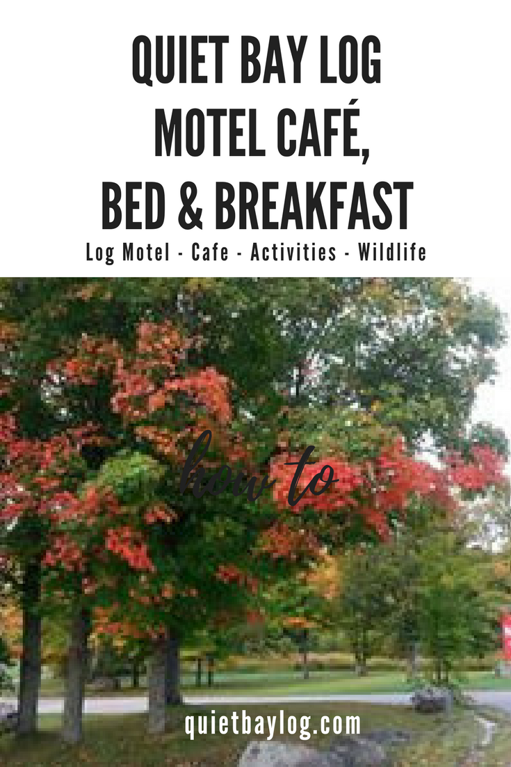 motel, hotel, best affordable, bed and breakfast, cafe