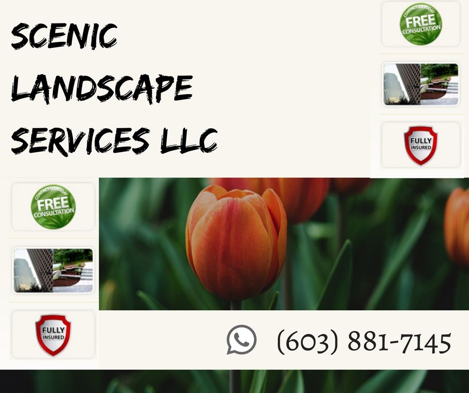 LANDSCAPE SERVICES,LANDSCAPING ,LAWN CARE ,SNOW REMOVAL,HARD SCAPING