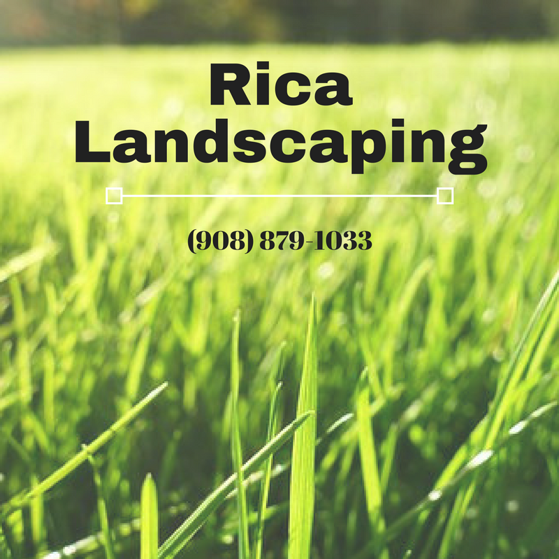 Landscaping Company, Landscaping, hardscaping, Lawn Service