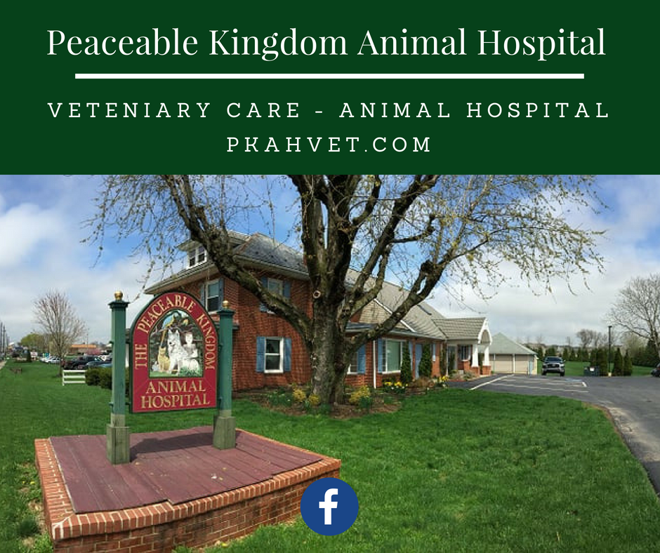 Wellness & Preventative Care, Pet Vaccinations, Laboratory Services, Digital Radiology, Surgical Services, Dentistry, Pharmacy, Laser Therapy & Services, Micro-chipping, Nutritional Counseling, End of Life Care