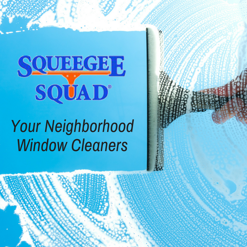 window cleaning, gutter cleaning, pressure washing, chandelier cleaning, ceiling fan cleaning