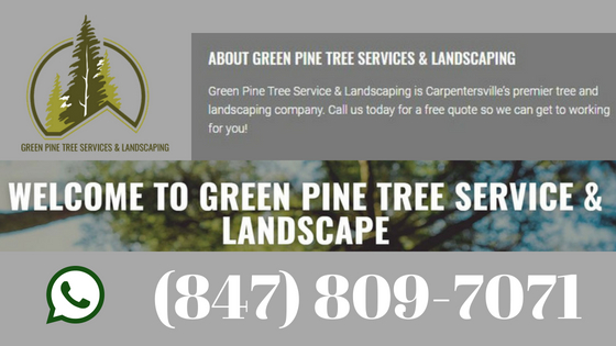 tree services, landscaping, firewood, lawn maintenance, stump grinding, tree removal, tree care