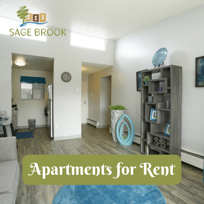 Apartment Complex, Apartment, Apartments For Rent, Rental Properties, 1 Bedroom, 2 Bedrooms, Renovated Apartments, Pool, Fitness Center, intimidate move in, swimming pool. affordable apartments,