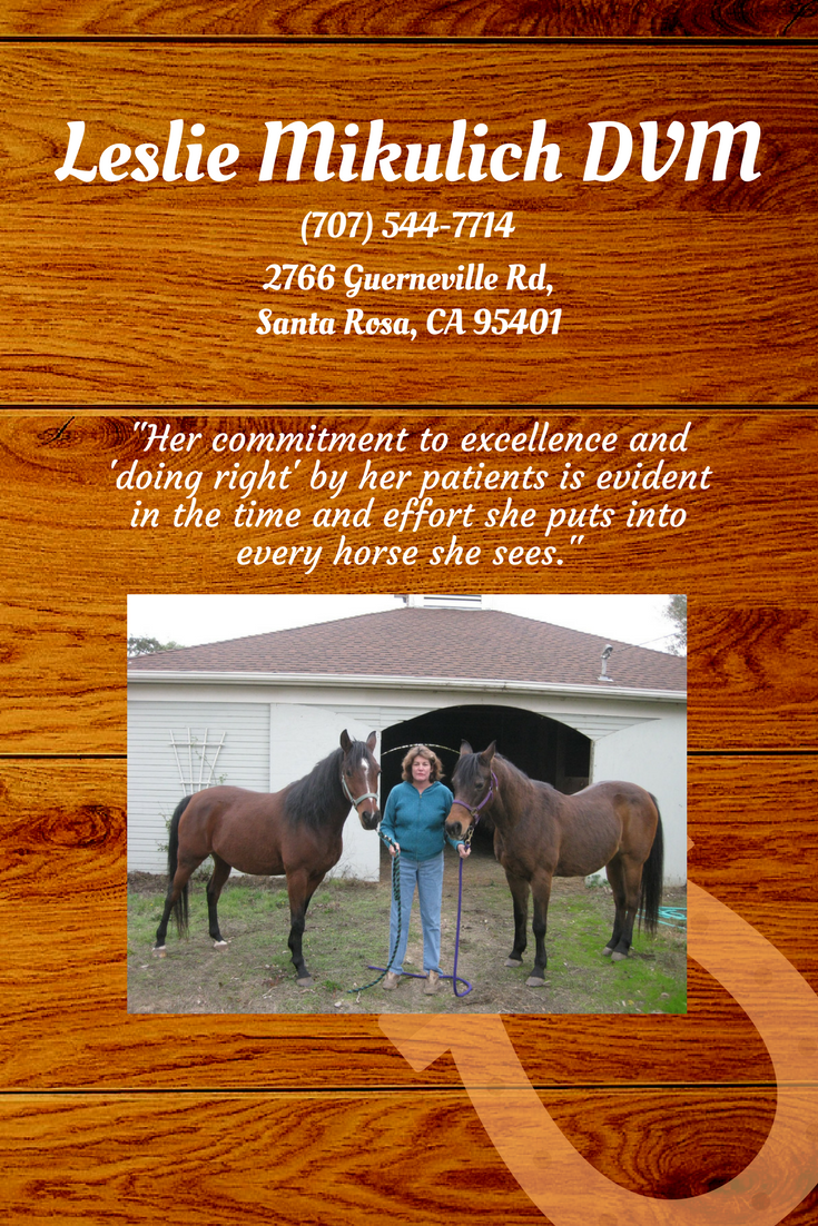 Veterinarian, horse Veterinarian, equine Veterinarian, laser therapy, dentistry, general medicine,