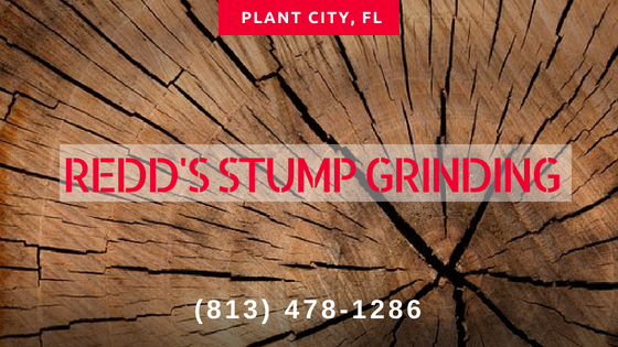 stump grinding, tree services. 