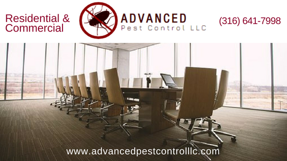 Pest Control Service, Termite, Spiders, Ant, Commercial And Residential, Bed Bugs, Exterminating