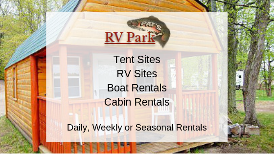RV Park, Pontoon Boat Rentals, Hiking, Picnics, Multiple Campground Sites, Cabins and Lodging, Fishing, Camping