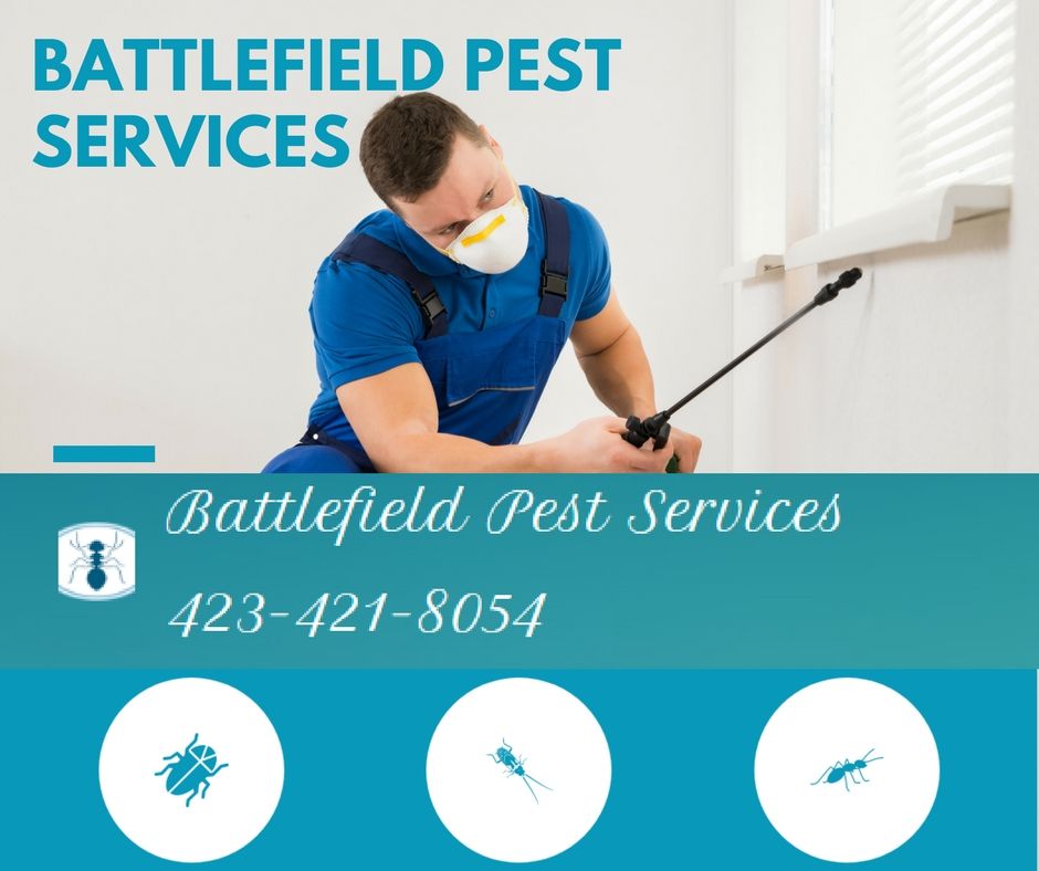 Pest control,termite control,real state inspection,Exterminator, rodent control,bed bugs