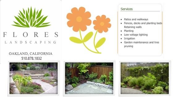 Landscaping Contractor, Landscaping, Lawn Care, Lawn Maintenance, Landscaping Installation