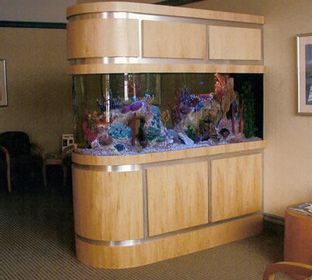 Aquarium, Aquarium Maintenance, Fish Tanks, Custom Aquariums, Outdoor Ponds, Aquarium Repairs, Fish, Coral Fish, Live Fish, Aquarium Cleaning