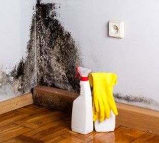 Asbestos, Popcorn Ceiling, Black Mold, Lead Base Paint, Flooring, Environmental Contractor