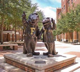 UF - mascots