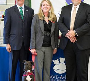 Save-A-Pet wins Toshiba's Helping the Helpers national contest.