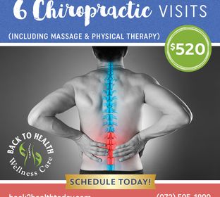 B2H-Chiropractic-package-520-220909