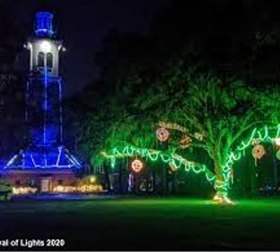 Stephen Foster - Christmas lights