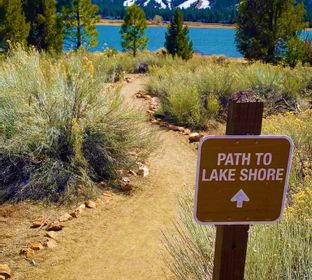 Path to Big Bear Lake