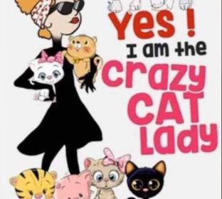 crazy cat lady