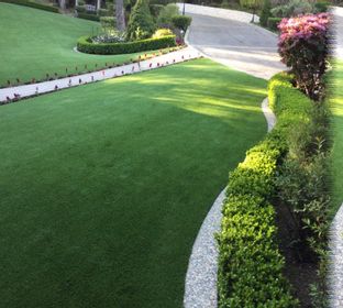 Pacific Grass & Turf Inc.