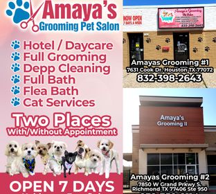 facebook_amayasgrooming