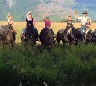 Adventure, Horseback Riding, Knik Glacier, Outdoor Activities, Sleigh Rides
