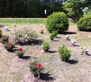 Pets Cremation, Pet Cemetery, Pet Funeral Home, Pet Markers, Pet Earns