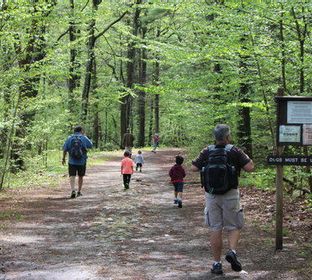 Nature explore classroom.