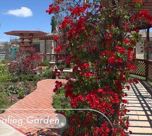 Promise Hospital of San Diego features a Healing Garden in a tranquil environment where patients and their loved ones can take in the fresh air and lovely views