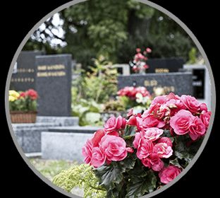 memorial services, burial services, cremation services, live funeral webcasting,  crowdfunding, tribute wall, personalized printing, standard honor military funerals,  full honor military funerals, final interment, ground burial, mausoleums, cremation opt