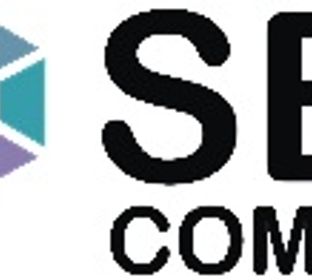 business logo