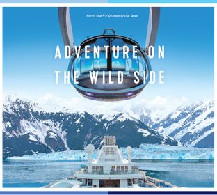 Royal Caribbean Cruises, cruises, family vacation, Alaska, vacation, package, family vacation, vacation planner, vacation hot spot, aya's travel, ayas travel, military discounts, cruises, Adventures, whale watching, glaciers, Alaska Tours