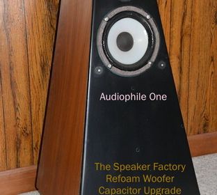 loud speakers, refoam speakers, speaker repair, speaker rebuilding, speaker uprgrades