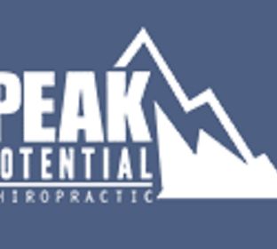 business logo