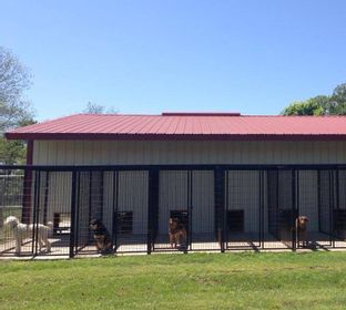 Pet Boarding in Tahlequah Oklahoma, Cherokee County, Day Camp, Bathing & Training, 