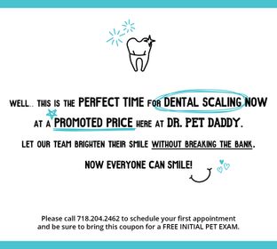 Dr Pet Daddy Astoria Vet Dental Month Promotion